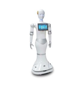 Humanoid Robots Intelligent Reception and Guidance Service Robot Educational Robot