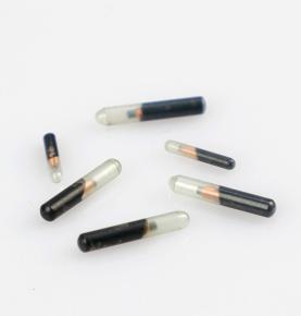 RFID Implantable Glass Tube Tag (134.2kHz FDX-B)