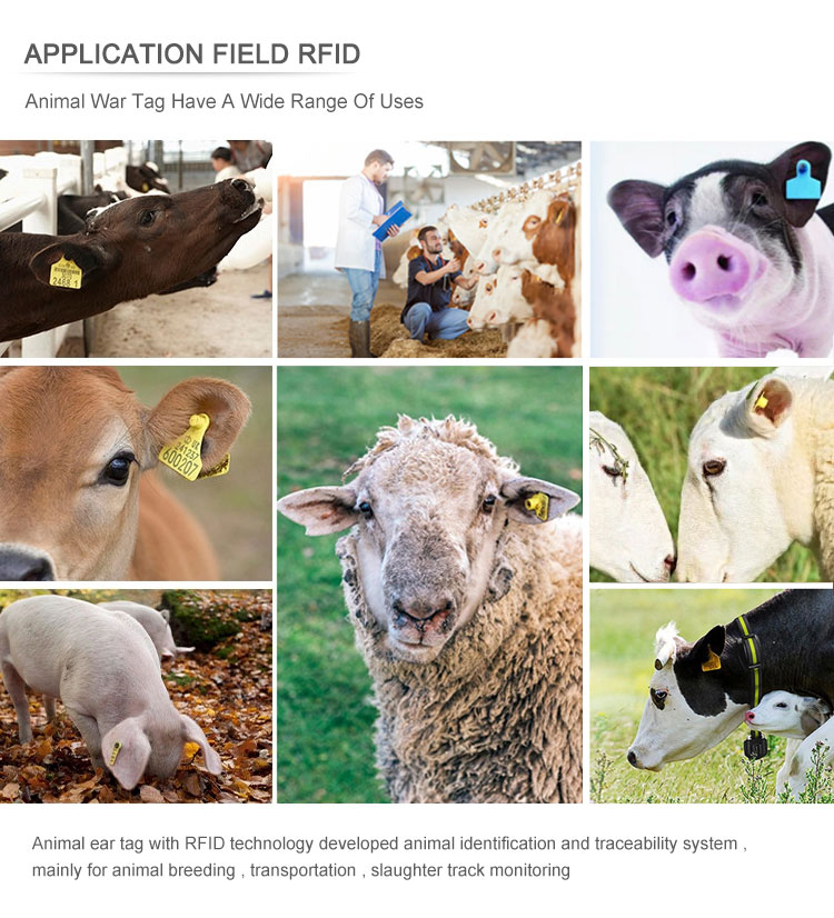 RFID Animal Equipment RFID Animal Ear Tags 3