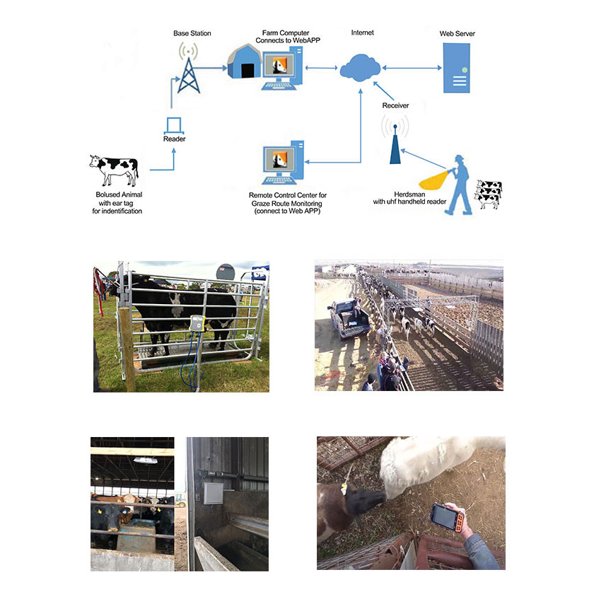 RFID Animal tracking,identification and management system