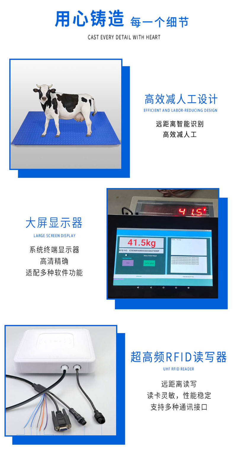 RFID cattle ear tag recognition weighing system electronic animal scale RFID animal ear tag recognition floor scale with smart touch screen 2