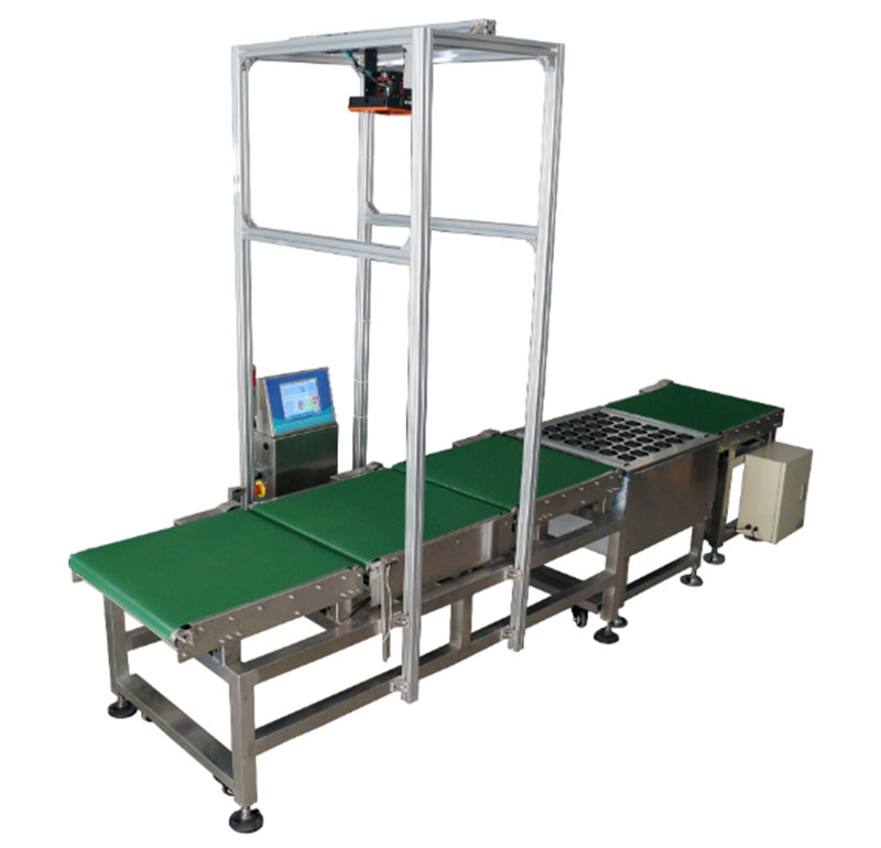 RFID assembly line automatic weighing machine rice flour liquor granules RFID precision weighing machine food books and periodicals RFID belt combination scale 3