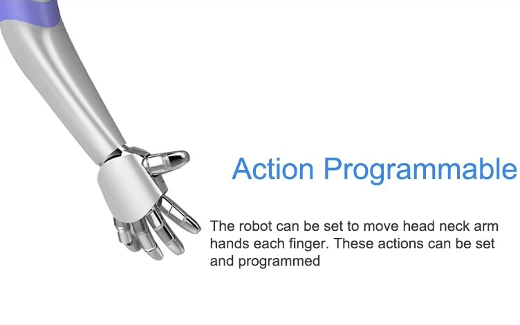 Humanoid Robots Intelligent Reception and Guidance Service Robot Educational Robot 2