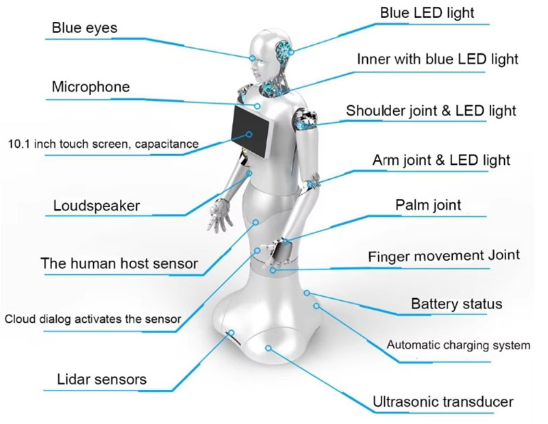 Humanoid Robots Intelligent Reception and Guidance Service Robot Educational Robot 5