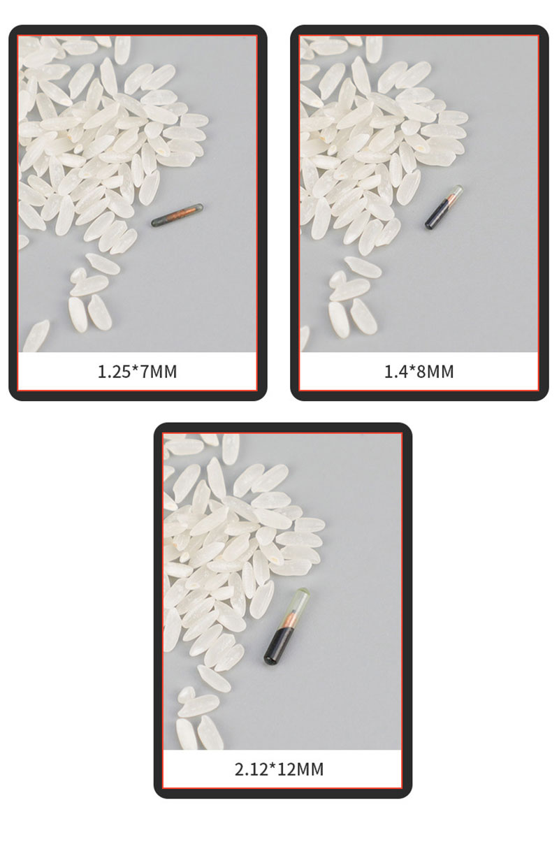 RFID Implantable Glass Tube Tag (134.2kHz FDX-B) 2 RFID Implantable Glass Tube Tag (134.2kHz FDX-B) 2