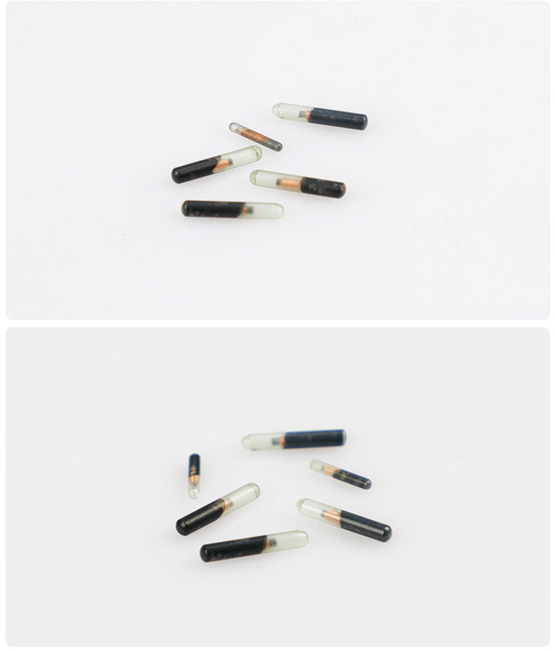 RFID Implantable Glass Tube Tag (134.2kHz FDX-B) 3 RFID Implantable Glass Tube Tag (134.2kHz FDX-B) 3